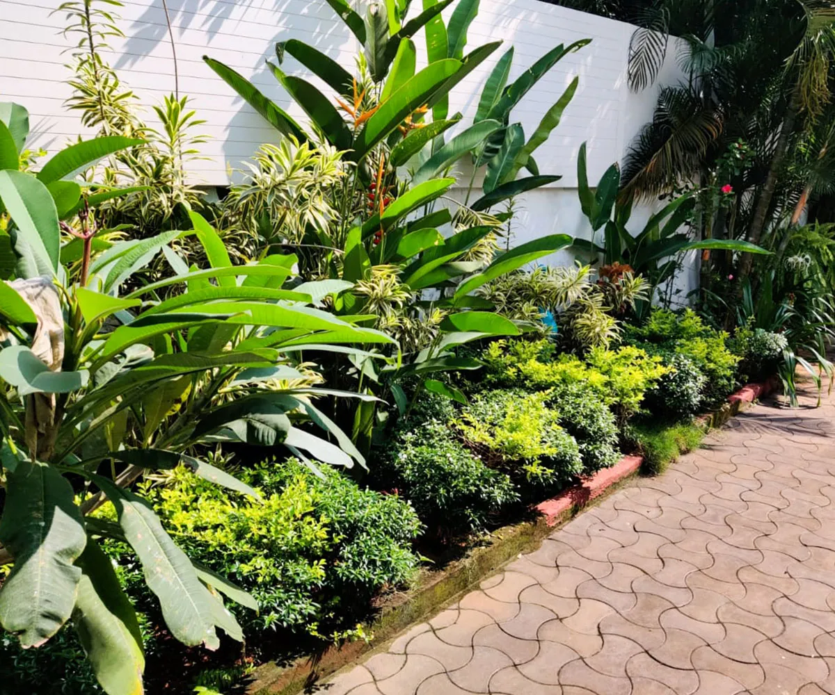 4BHK Premium Villa With Private Swimming Pool