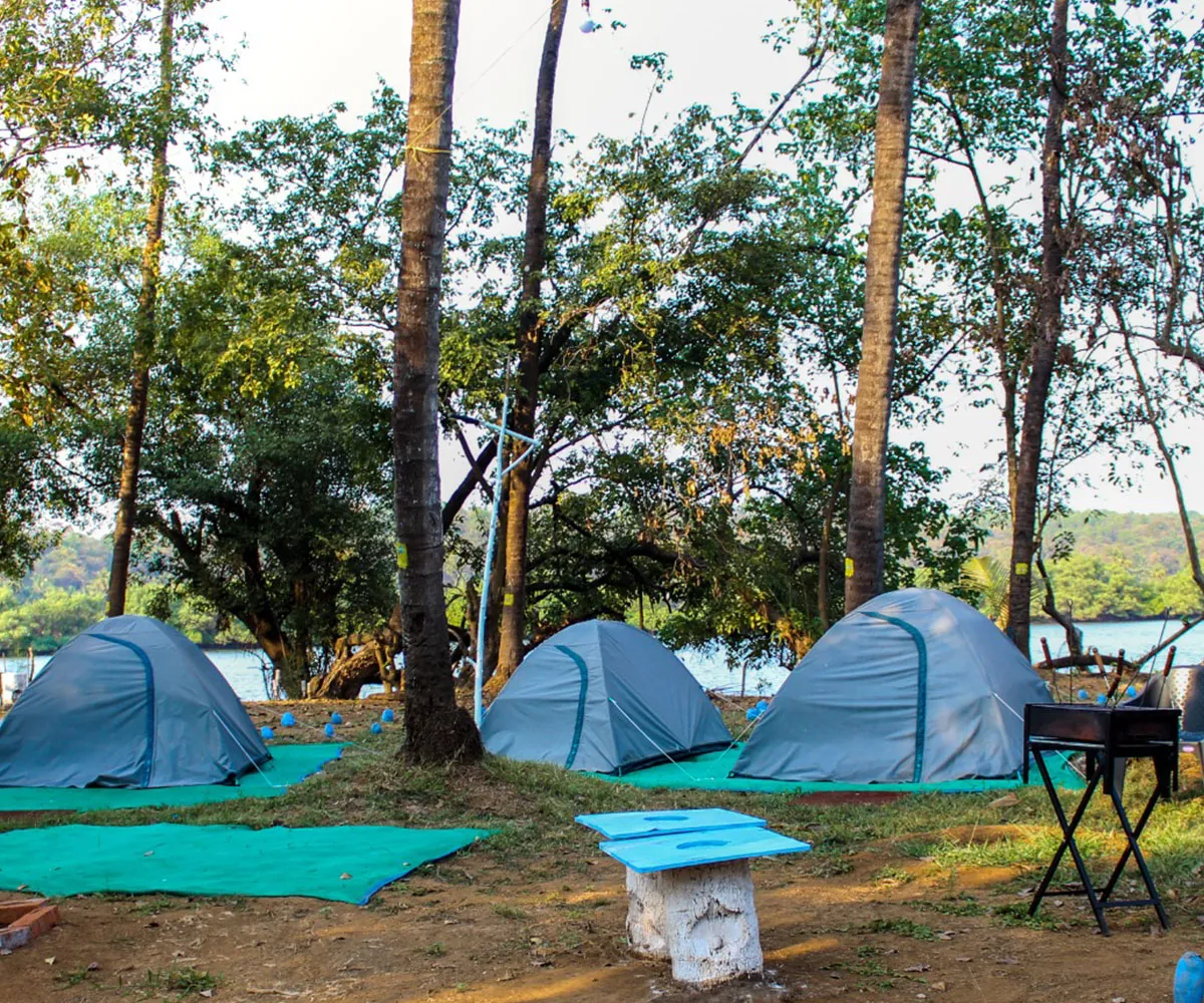 sai-island-Island trip in Goa