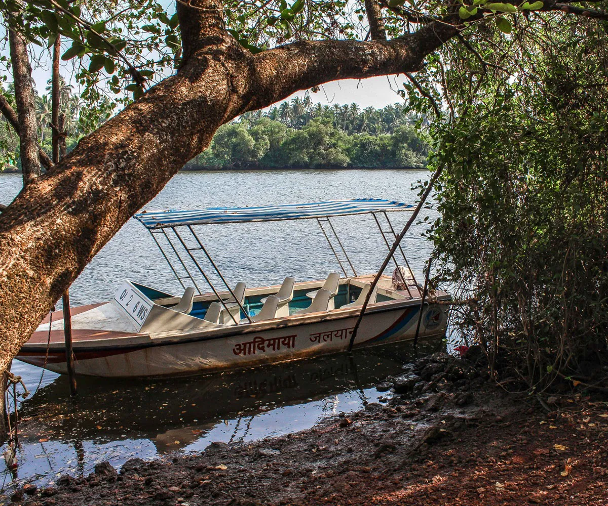 sai-island-Island trip in Goa