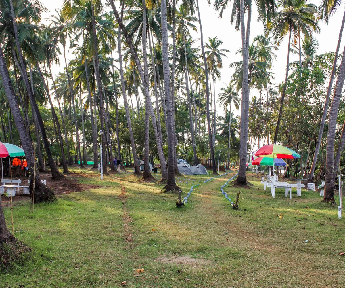 sai-island-Island trip in Goa