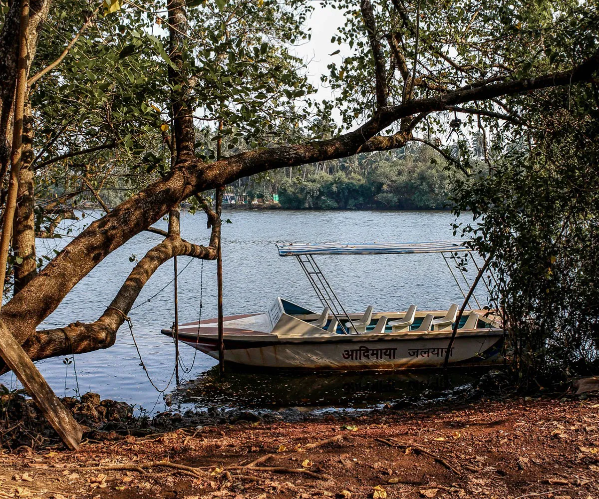 sai-island-Island trip in Goa